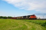 8100 leads CN 562 at Petit-Metis (Alternate shot)